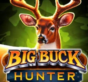 big buck hunter